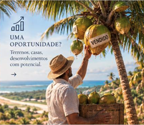 Homem colhendo cocos marcados VENDIDO com a costa do Ceará ao fundo