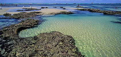 Piscinas naturais entre os recifes na maré baixa em Flecheiras, litoral de Trairi, Ceará